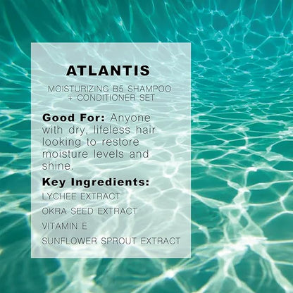 R+Co | Travel Size | Atlantis B5 Shampoo and Conditioner Set for Dry Damaged Hair | Hydrating + Moisturizing + Shine | Vegan + Sulfate-Free | Color Safe | Set of 2