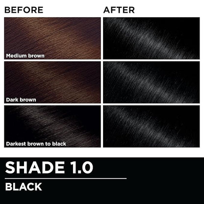 Garnier Hair Color Olia Ammonia-Free Brilliant Color Oil-Rich Permanent Hair Dye, 1.0 Black, 2 Count (Packaging May Vary)