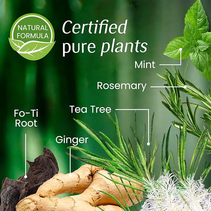 Brown Hair Dye Shampoo 3 In 1, Instant Tea Tree Hair Color Shampoo Hair Dye for Women Men Dark Coffee, Champu Para Canas for Gray Reducing All Hair Types, Easy Use Last 3-4 Weeks Root Touch Up, 500 ml