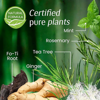 Brown Hair Dye Shampoo 3 In 1, Instant Tea Tree Hair Color Shampoo Hair Dye for Women Men Dark Coffee, Champu Para Canas for Gray Reducing All Hair Types, Easy Use Last 3-4 Weeks Root Touch Up, 500 ml