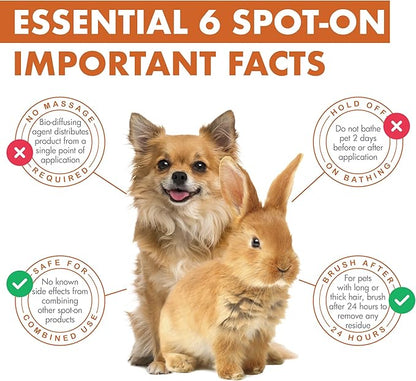 Dermoscent Essential 6 spot-on - Dog Skin Care for Dandruff & Allergy Relief with Vitamin E Oil - Anti Itch for Dogs - Dog & Small Mammals 0-10 kg - 4 Pipettes of 0.6 ml