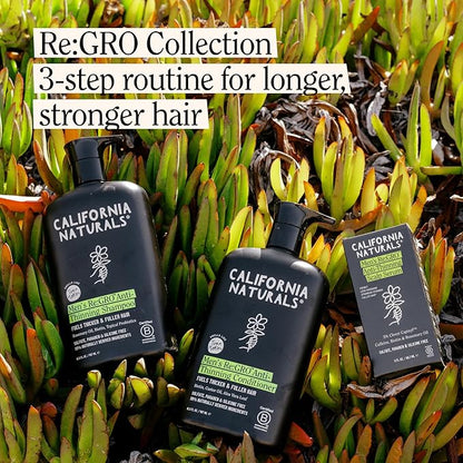 California Naturals Men's Re: Gro Anti-Thinning Scalp Serum, 5% Capixyl with Biotin, Caffeine & Castor and Rosemary Oil, Non-Sticky Cooling Formula, Vegan & Cruelty Free, 3oz