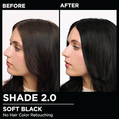Garnier Hair Color Olia Ammonia-Free Brilliant Color Oil-Rich Permanent Hair Dye, 2.0 Soft Black, 2 Count (Packaging May Vary)