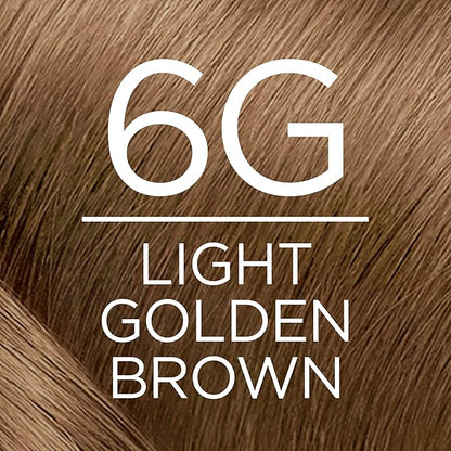 L'Oreal Paris Excellence Creme Permanent Triple Care Hair Color, 6G Light Golden Brown, Gray Coverage For Up to 8 Weeks, All Hair Types, Pack of 1