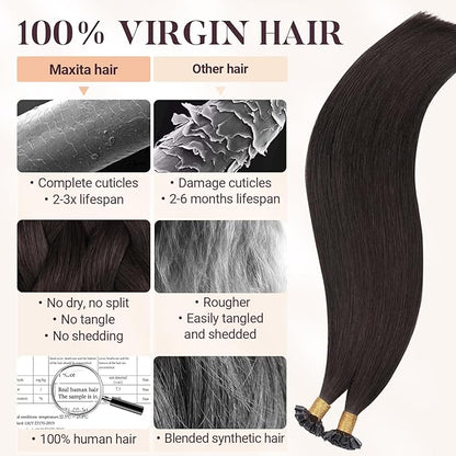 MAXITA U Tip Hair Extensions Human Hair, Dark Brown Hair Extensions Real Human Hair, 50g/50 Strands/Pack, 18 In Virgin Human Hair