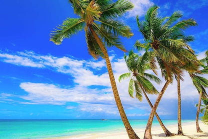 US Organic Fractionated Coconut MCT Oil (Liquid Coconut Oil), USDA Certified Organic, Non-GMO, Perfect for massage, carrier oil for DIY blends, Hair, Skin care. 100% Pure, Hexane-Free (8 oz)