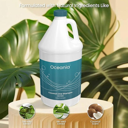 Wholesale Gallon Shampoo | Deep Cleansing & Moisturizing Coconut Lime Fragrance Shampoo, Perfect For Gyms, Hotels, Salons & Spas | 100% Vegan & Cruelty Free | Single Gallon Refill