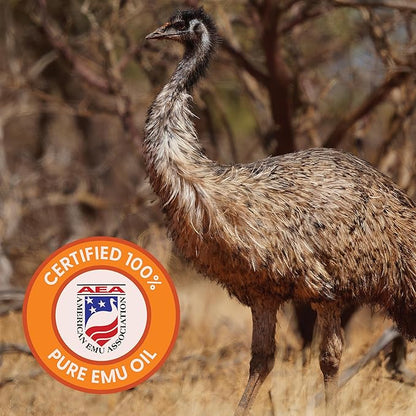 Cleure 100% Pure Emu Oil - Multi-Purpose for Dry Skin, Muscle & Joint Relief, and Nail & Hair Growth (2 Oz, Pack of 1)